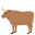 🐂 🐂